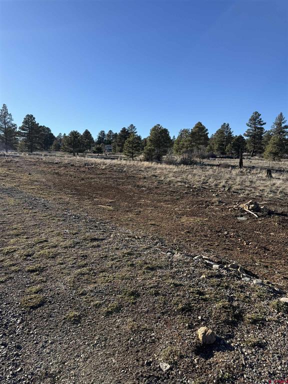 77 Bonita Drive Pagosa Springs CO 81147