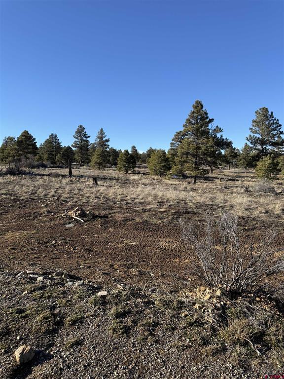 77 Bonita Drive Pagosa Springs CO 81147