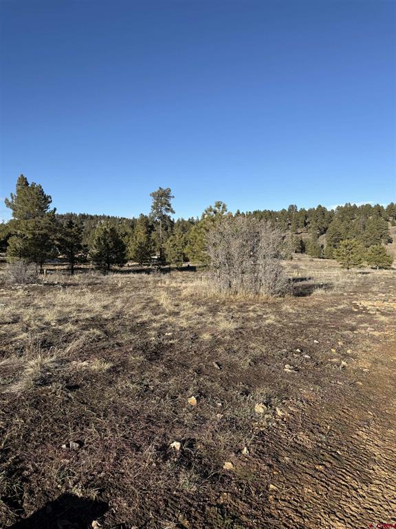 77 Bonita Drive Pagosa Springs CO 81147
