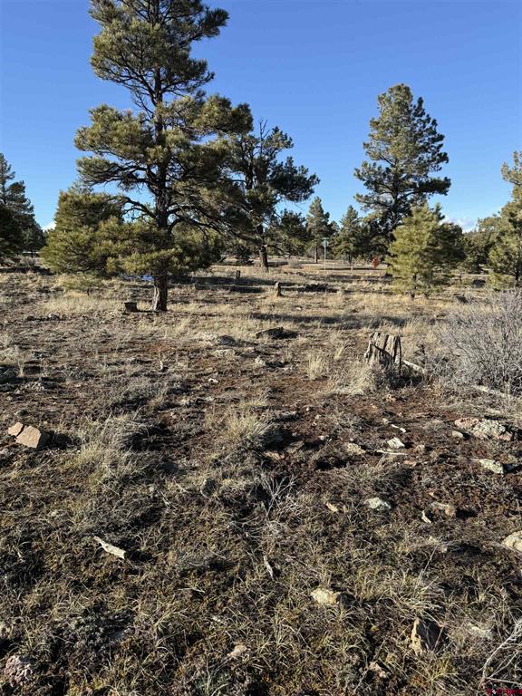 77 Bonita Drive Pagosa Springs CO 81147