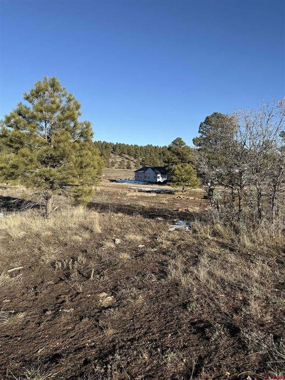 77 Bonita Drive Pagosa Springs CO 81147