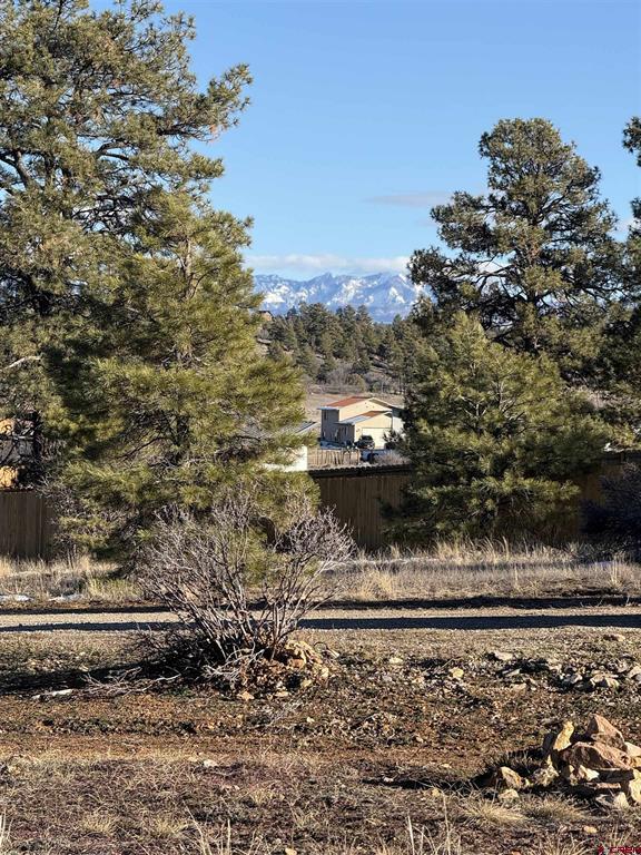 77 Bonita Drive Pagosa Springs CO 81147