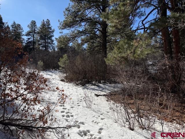 2409 Loma Linda Pagosa Springs CO 81147