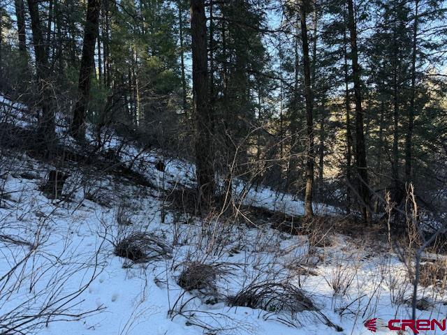 2409 Loma Linda Pagosa Springs CO 81147