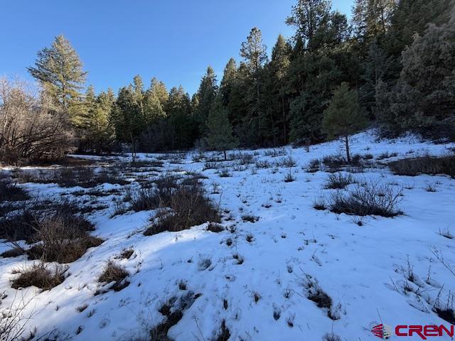 2409 Loma Linda Pagosa Springs CO 81147