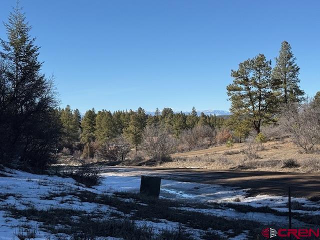 2409 Loma Linda Pagosa Springs CO 81147