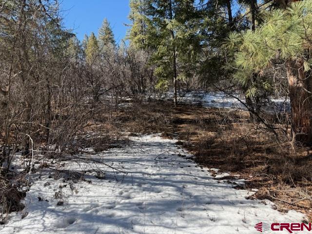 2409 Loma Linda Pagosa Springs CO 81147