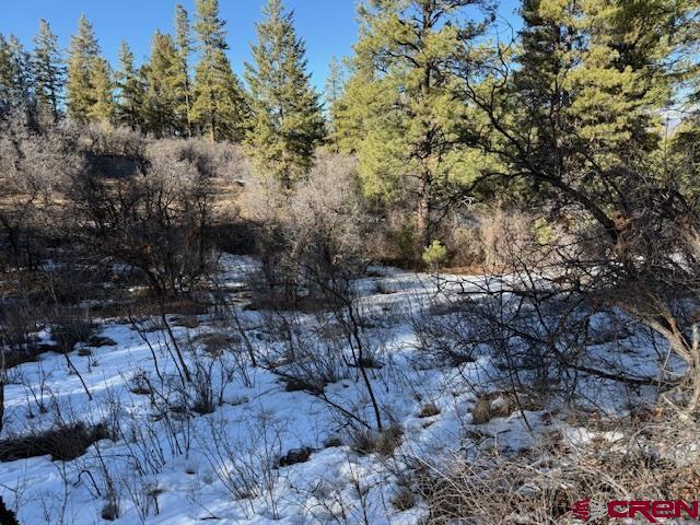 2409 Loma Linda Pagosa Springs CO 81147