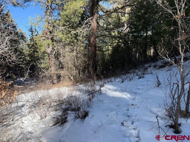 2409 Loma Linda Pagosa Springs CO 81147