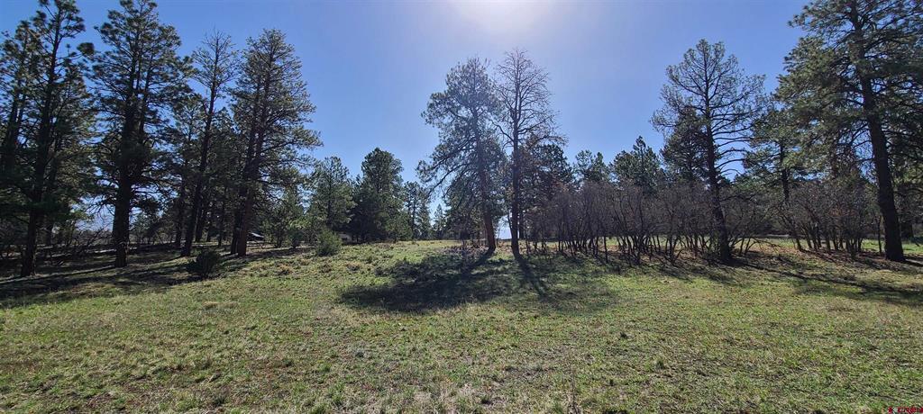 225 Badger Trail Ridgway CO 81432