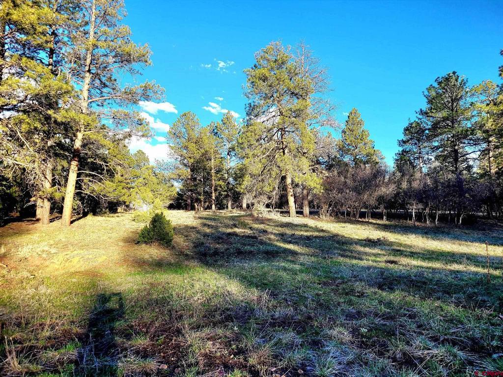 225 Badger Trail Ridgway CO 81432