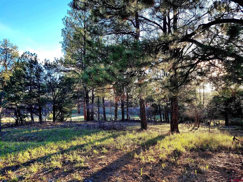225 Badger Trail Ridgway CO 81432