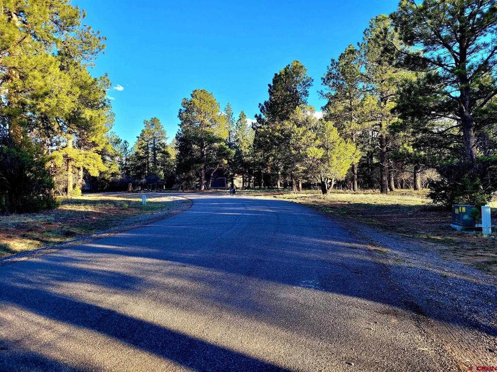 225 Badger Trail Ridgway CO 81432