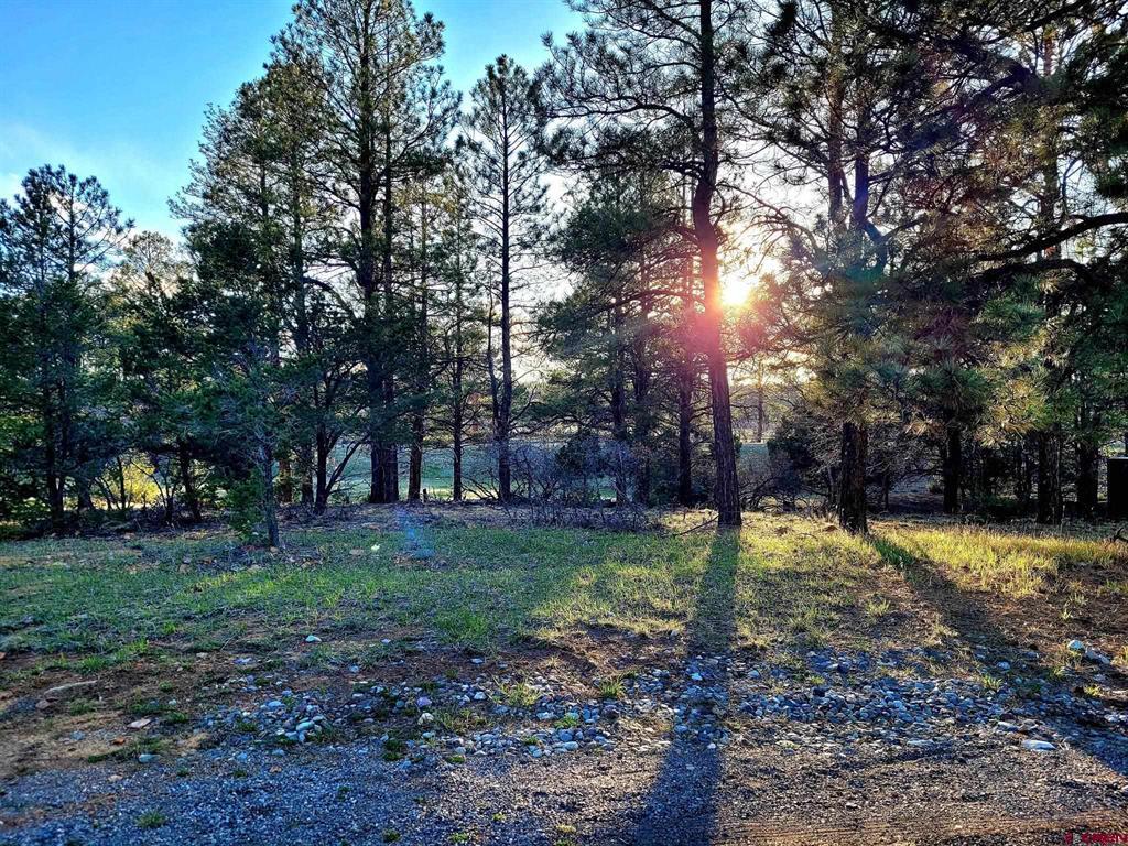 225 Badger Trail Ridgway CO 81432