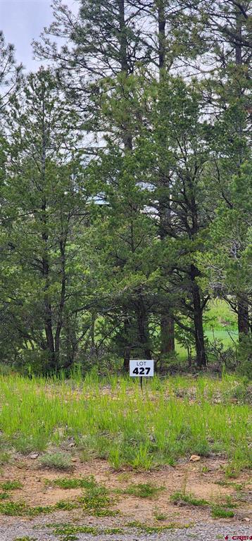 225 Badger Trail Ridgway CO 81432