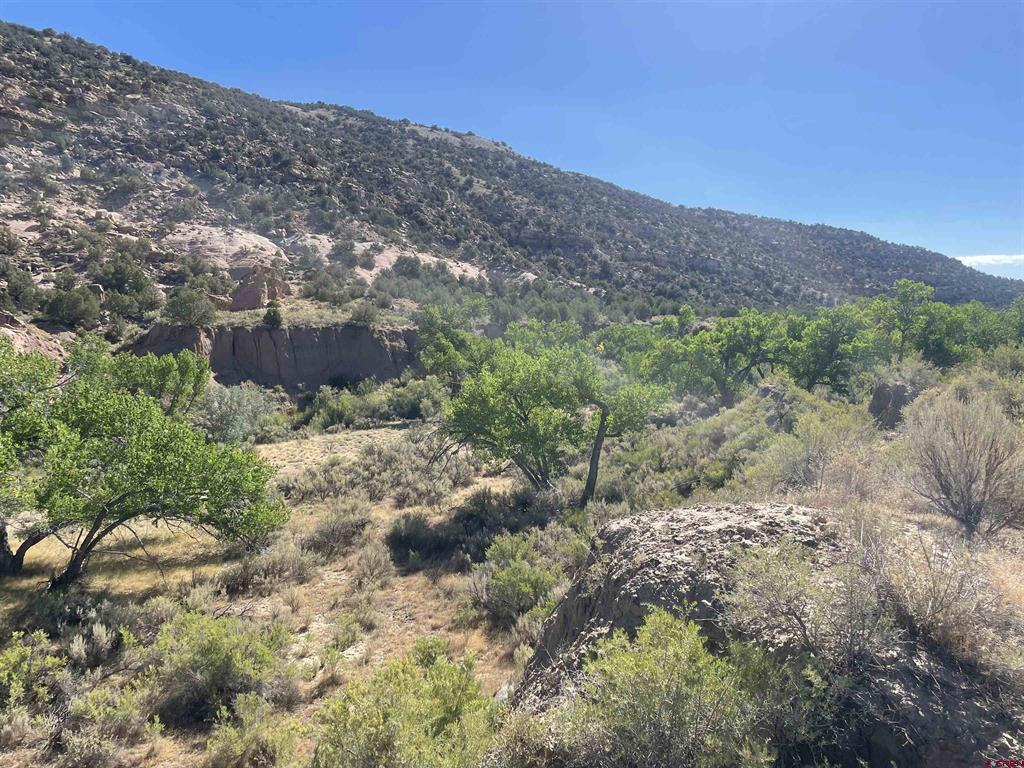 17979 Road G Cortez CO 81321