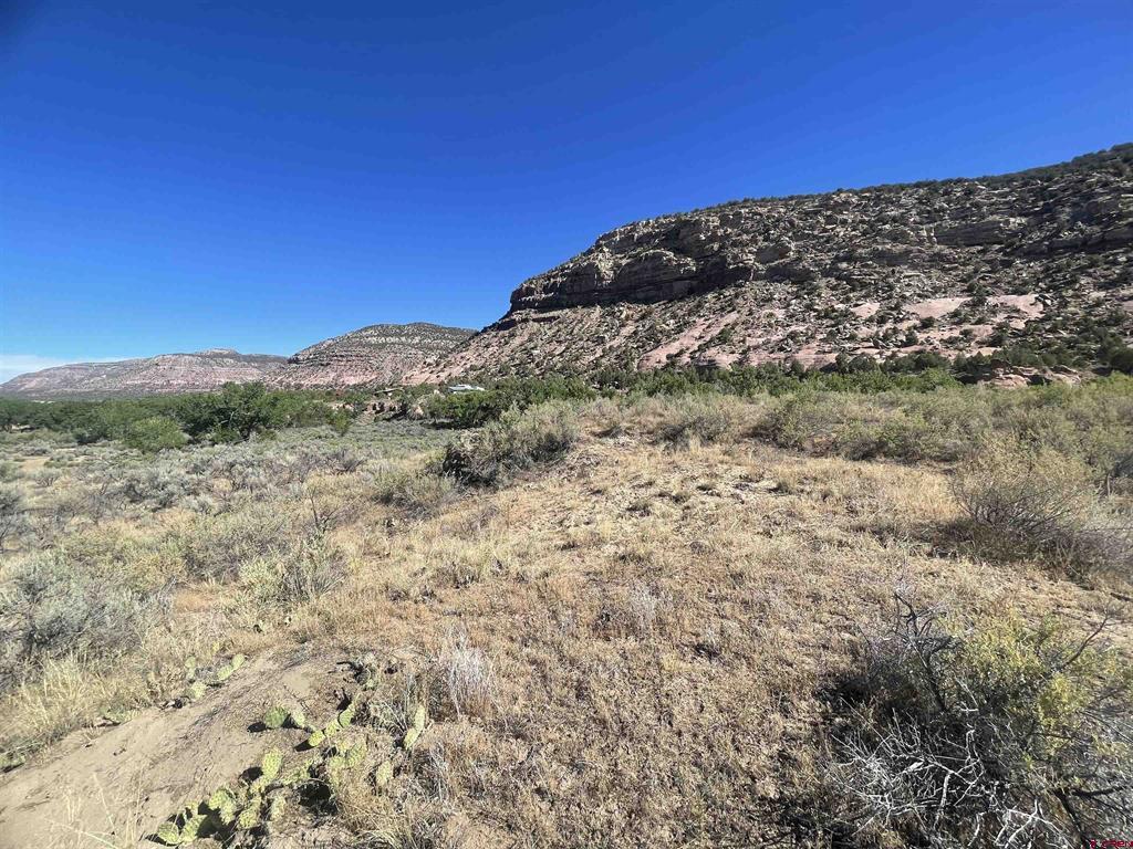 17979 Road G Cortez CO 81321