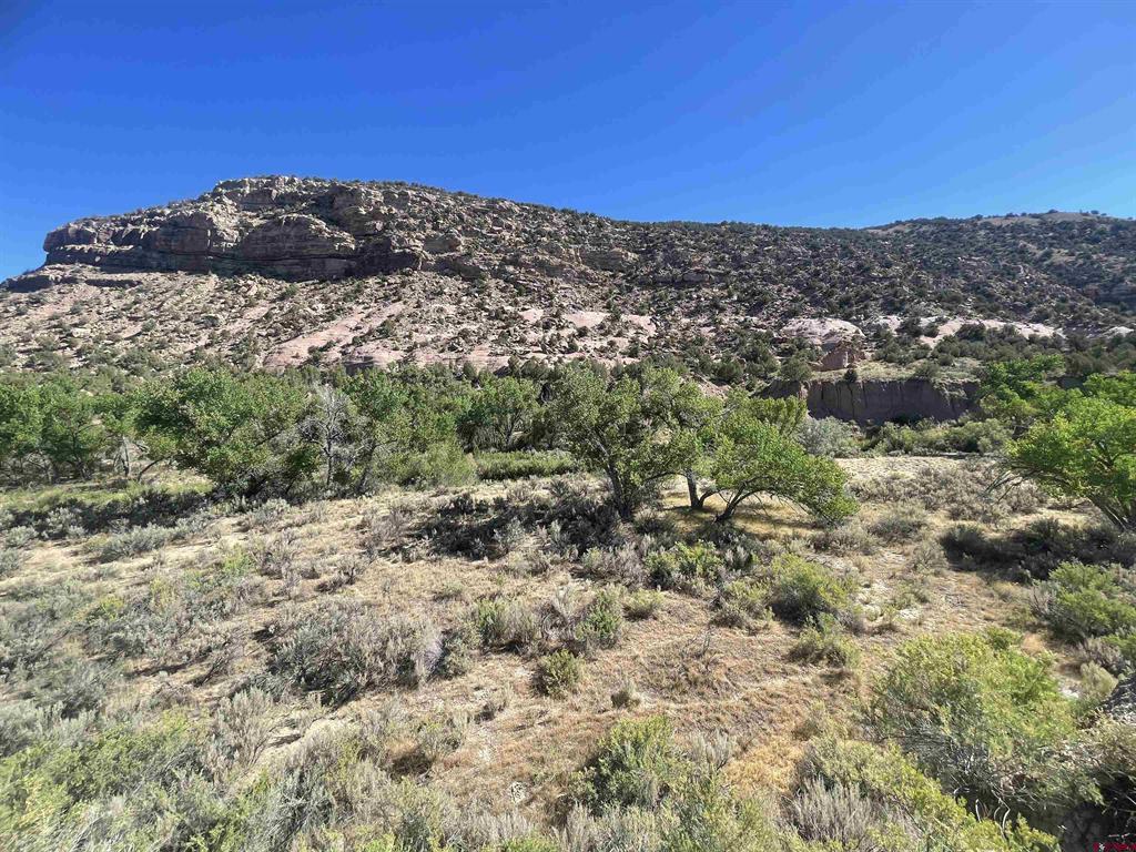 17979 Road G Cortez CO 81321
