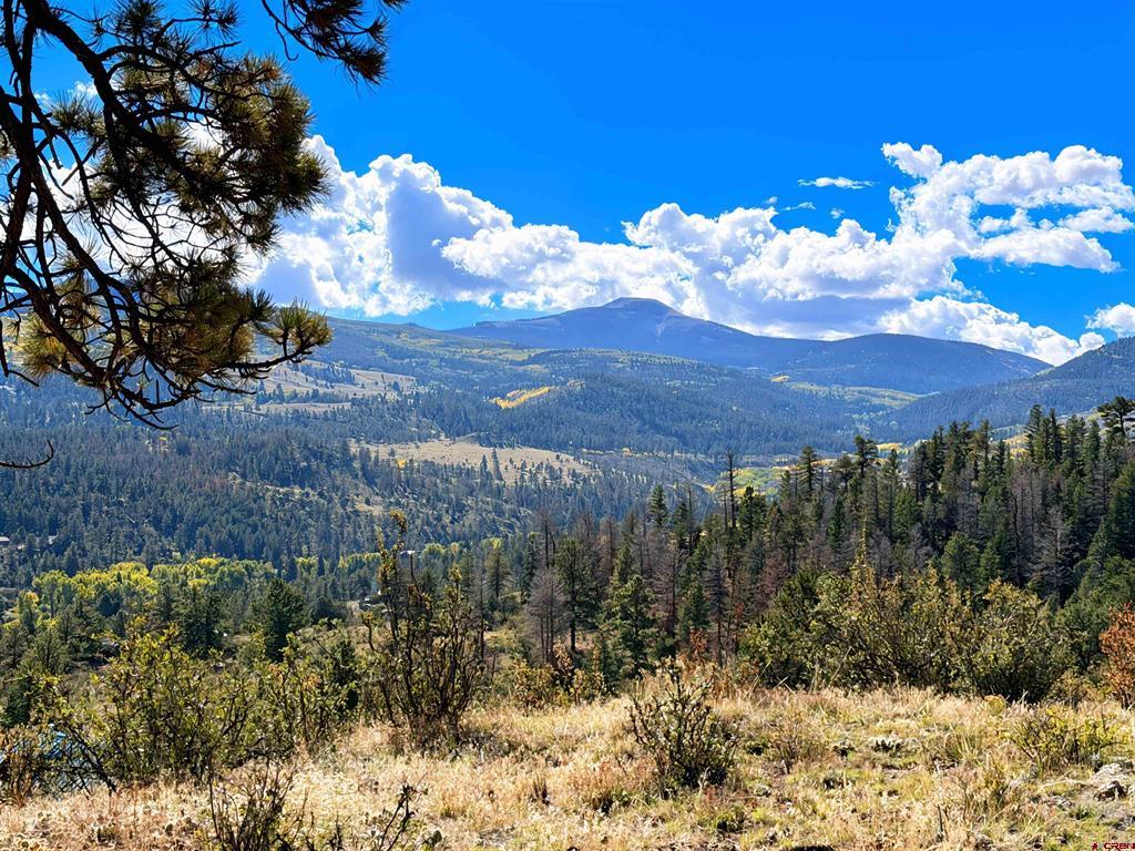 467 Aspen Circle South Fork CO 81154