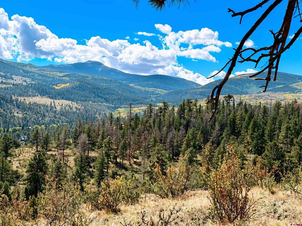 467 Aspen Circle South Fork CO 81154
