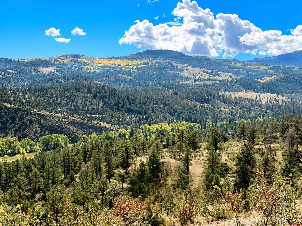 467 Aspen Circle South Fork CO 81154