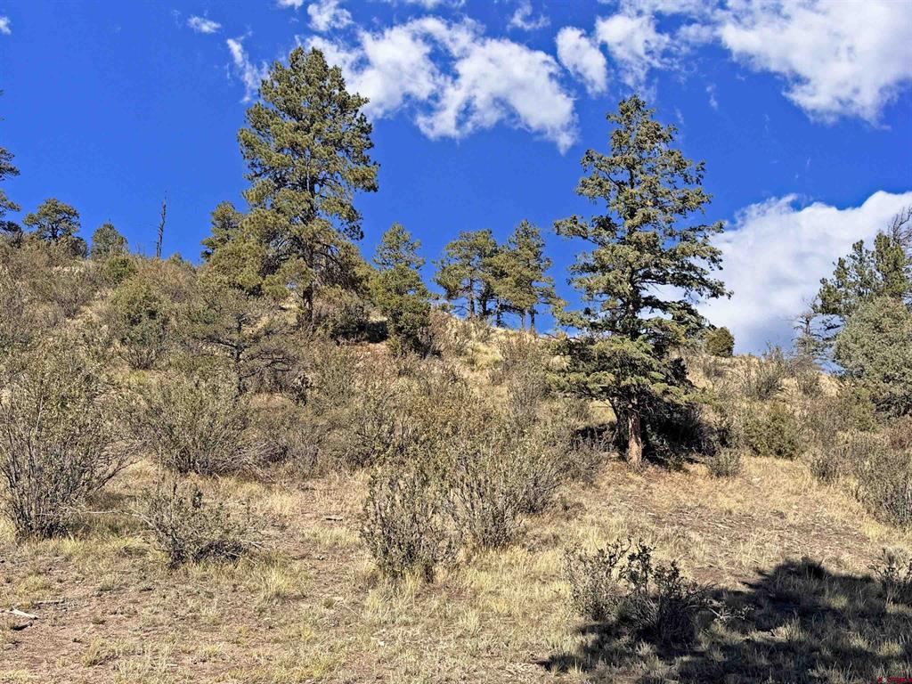 467 Aspen Circle South Fork CO 81154