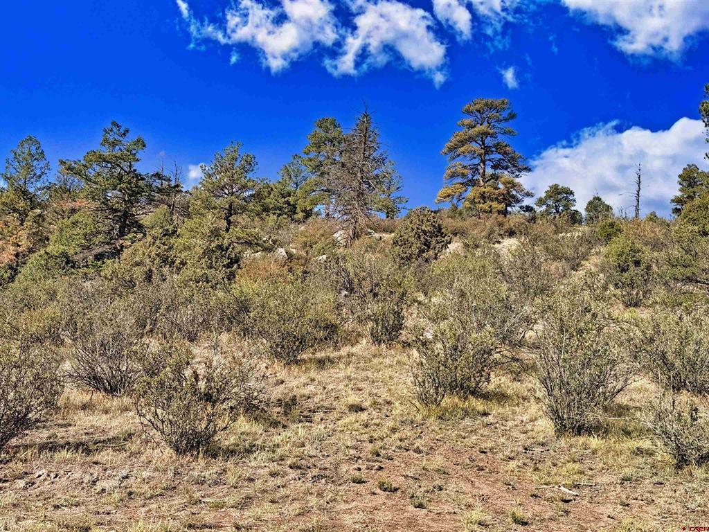 467 Aspen Circle South Fork CO 81154