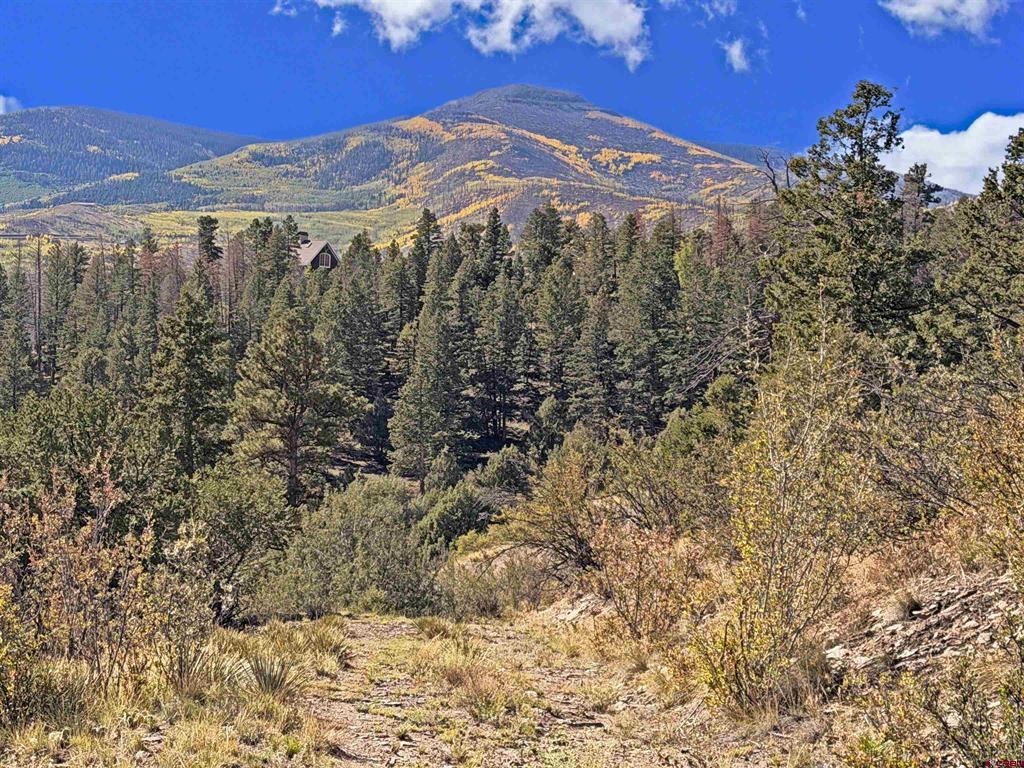 467 Aspen Circle South Fork CO 81154
