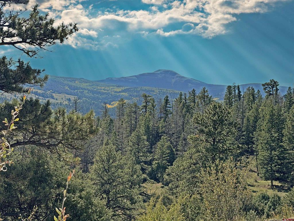 467 Aspen Circle South Fork CO 81154