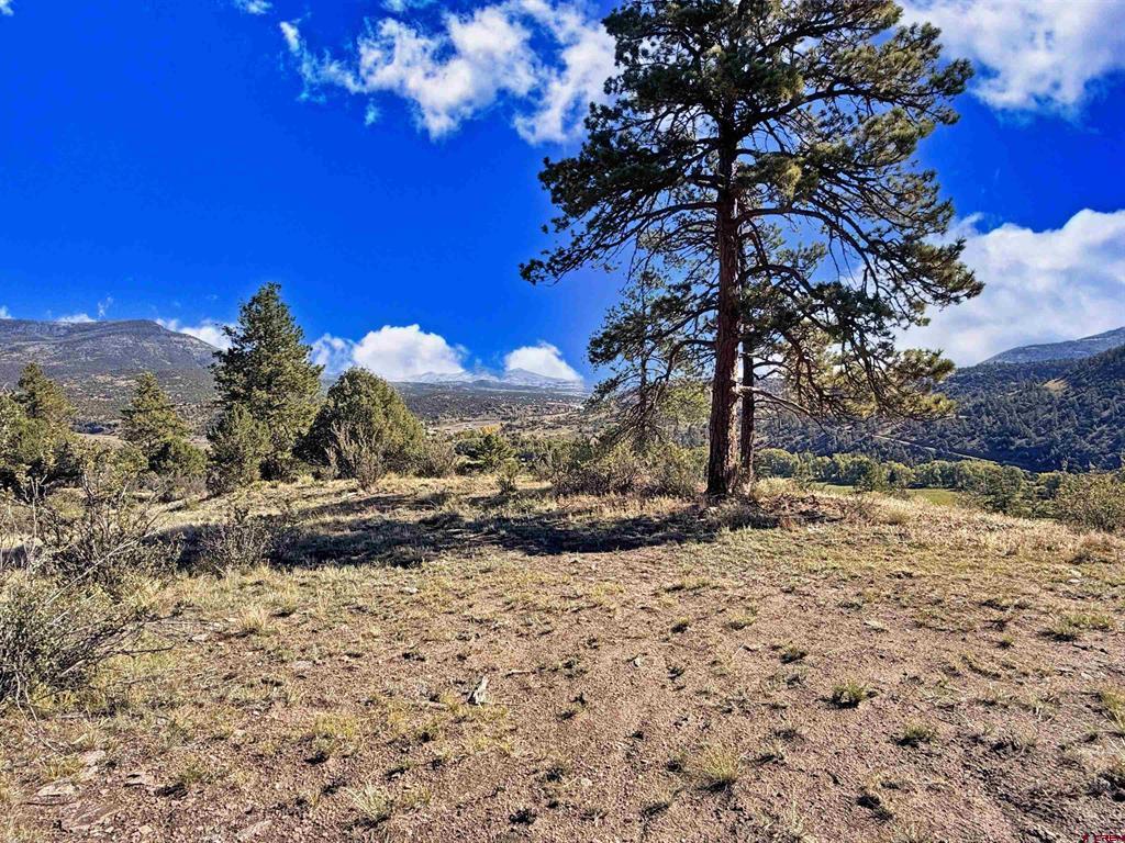 467 Aspen Circle South Fork CO 81154