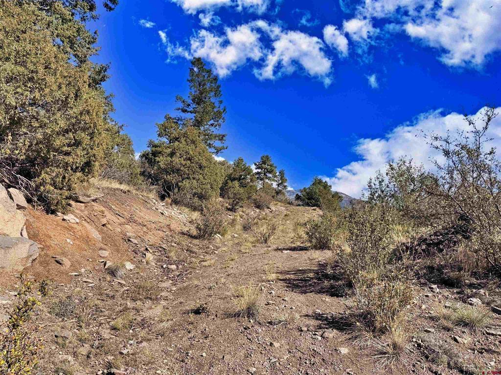 467 Aspen Circle South Fork CO 81154