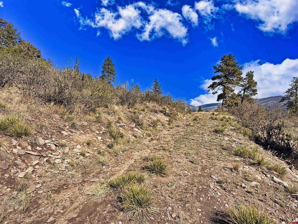 467 Aspen Circle South Fork CO 81154