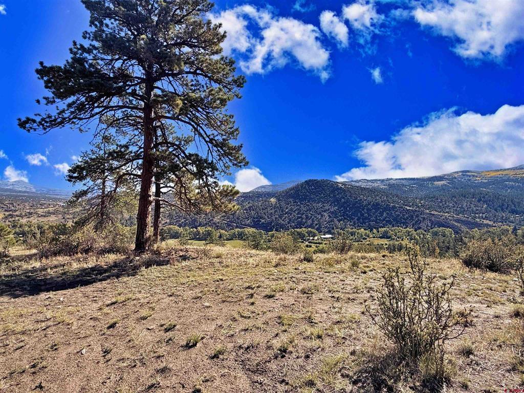 467 Aspen Circle South Fork CO 81154