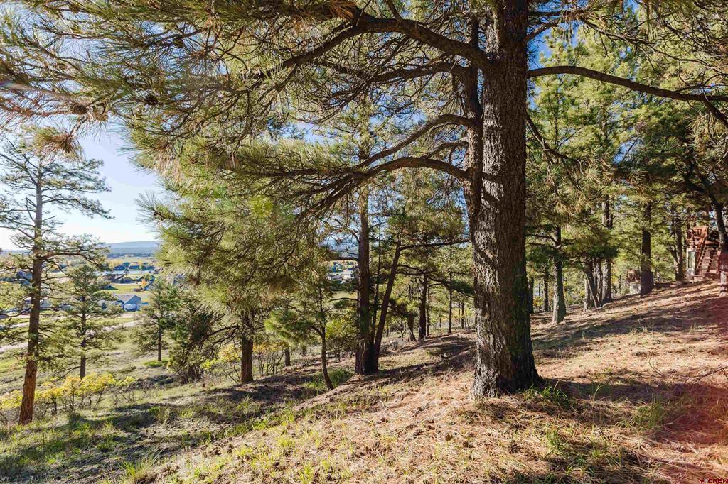 451 Handicap Avenue Pagosa Springs CO 81147
