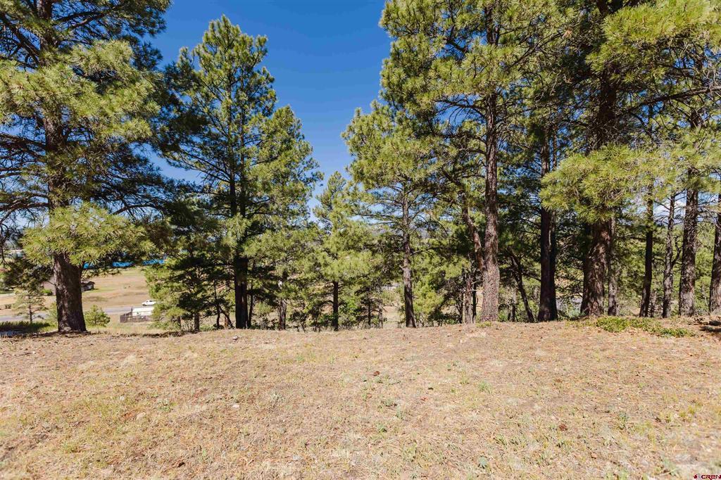 451 Handicap Avenue Pagosa Springs CO 81147