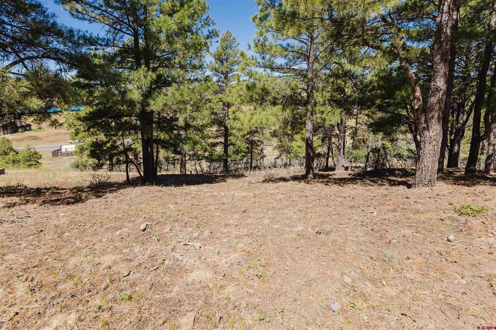 451 Handicap Avenue Pagosa Springs CO 81147
