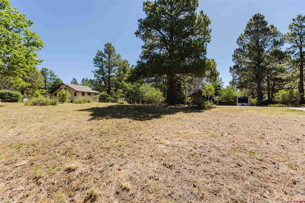 451 Handicap Avenue Pagosa Springs CO 81147