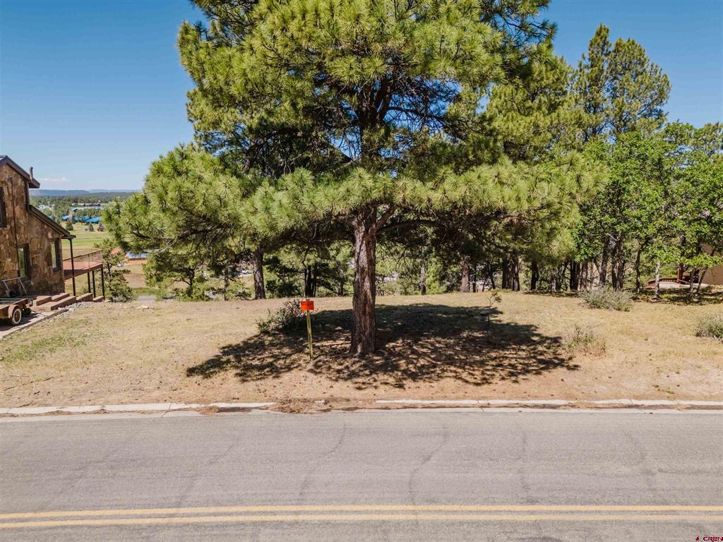 451 Handicap Avenue Pagosa Springs CO 81147
