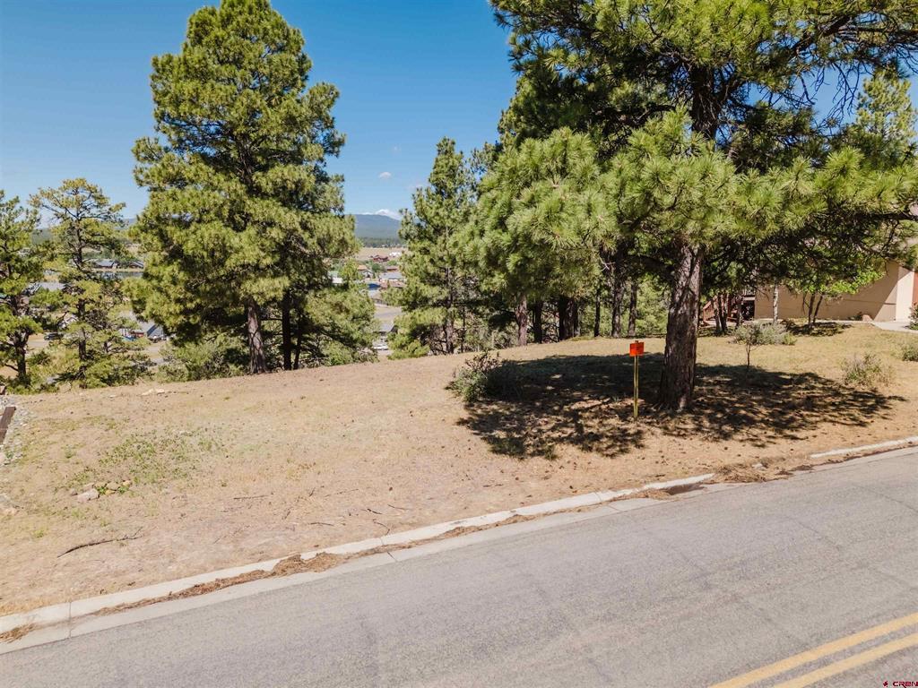 451 Handicap Avenue Pagosa Springs CO 81147