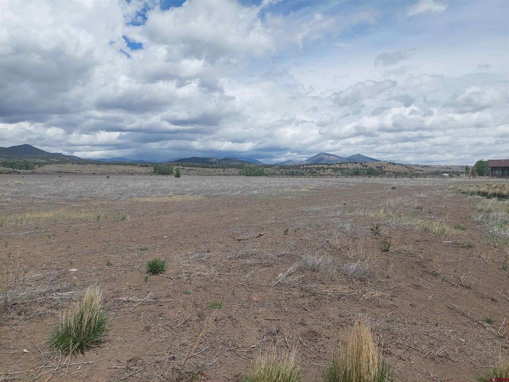 2334 River Island Drive South Fork CO 81154