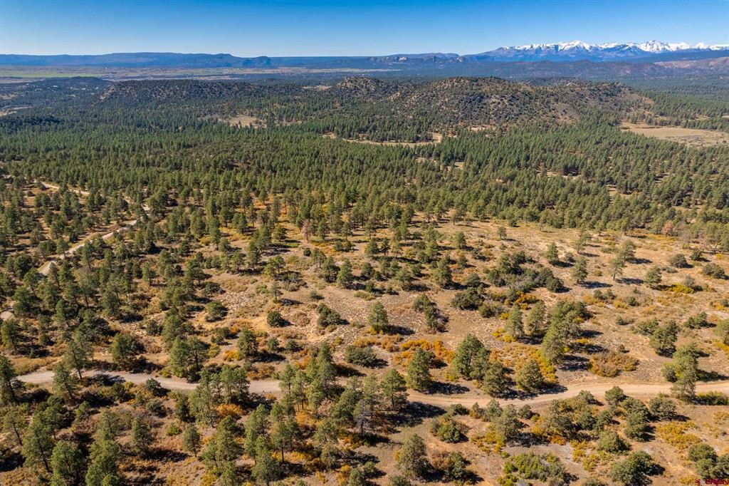 Lot 3 Foxfire Ranch Bayfield CO 81122