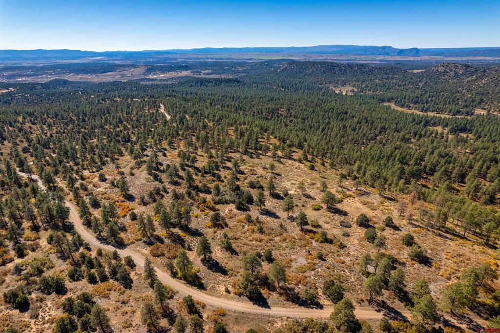 Lot 3 Foxfire Ranch Bayfield CO 81122