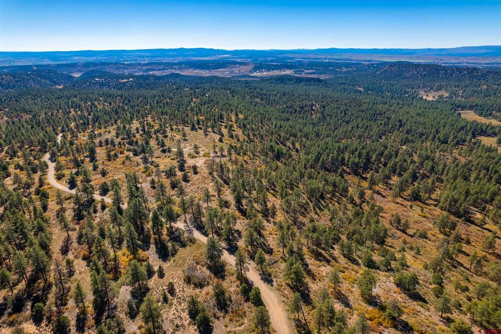 Lot 3 Foxfire Ranch Bayfield CO 81122