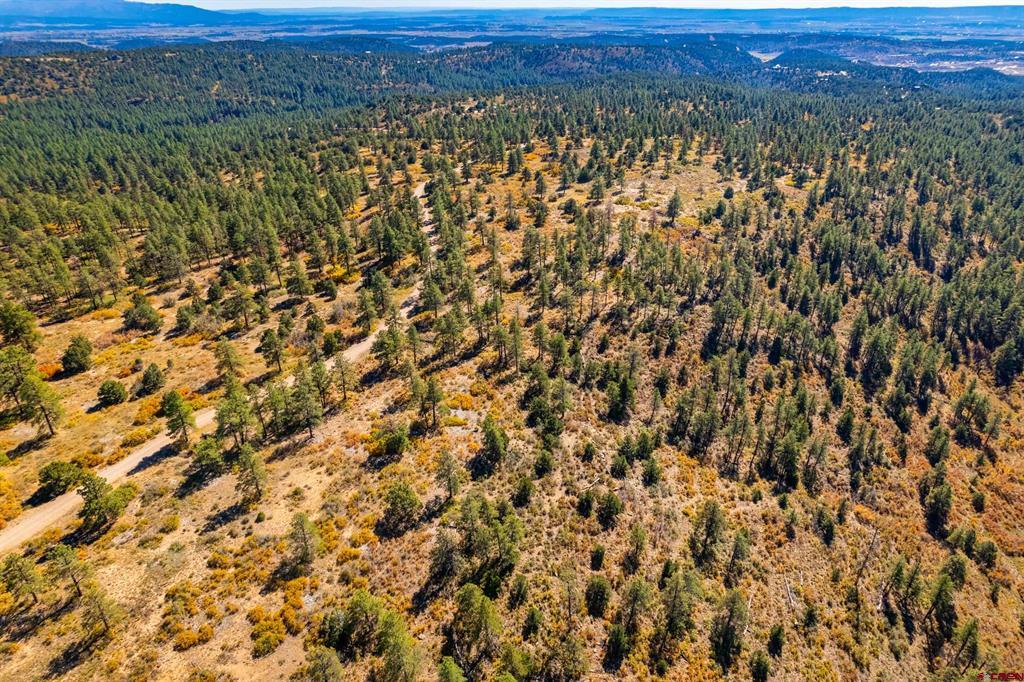 Lot 3 Foxfire Ranch Bayfield CO 81122