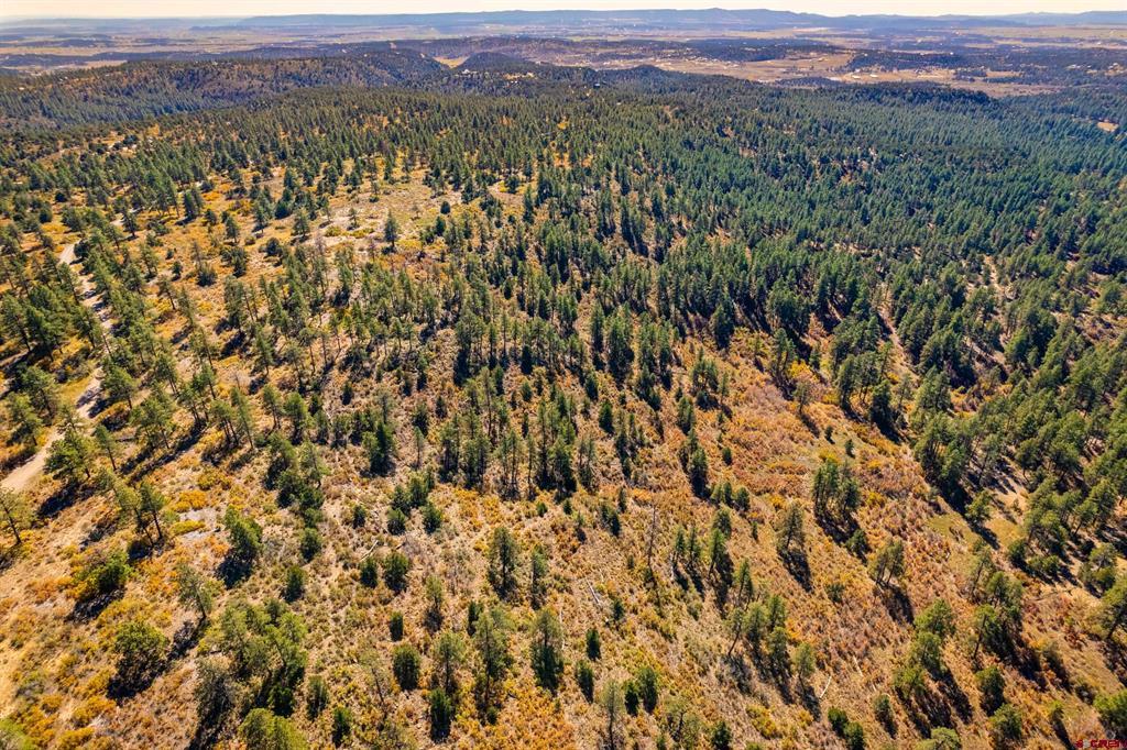Lot 3 Foxfire Ranch Bayfield CO 81122