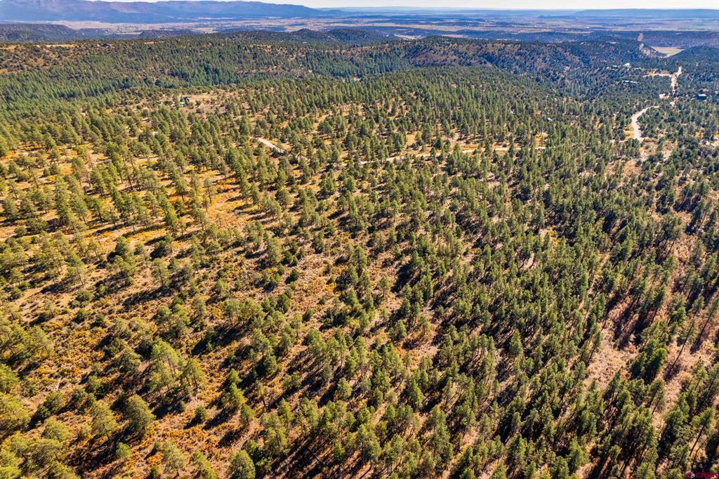 Lot 3 Foxfire Ranch Bayfield CO 81122