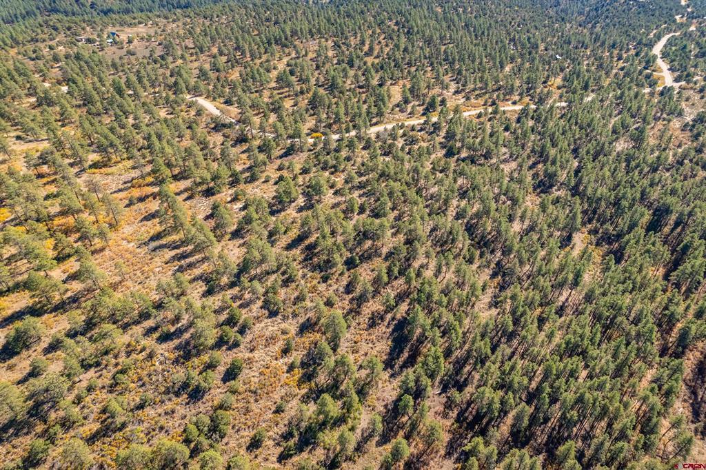 Lot 3 Foxfire Ranch Bayfield CO 81122