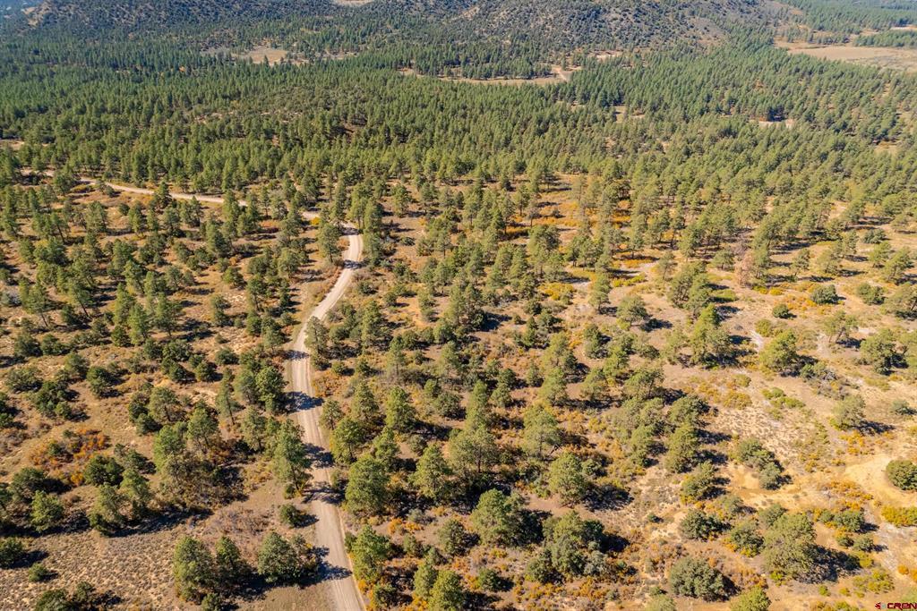 Lot 3 Foxfire Ranch Bayfield CO 81122