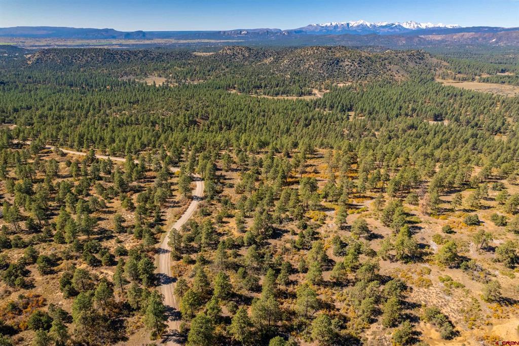 Lot 3 Foxfire Ranch Bayfield CO 81122