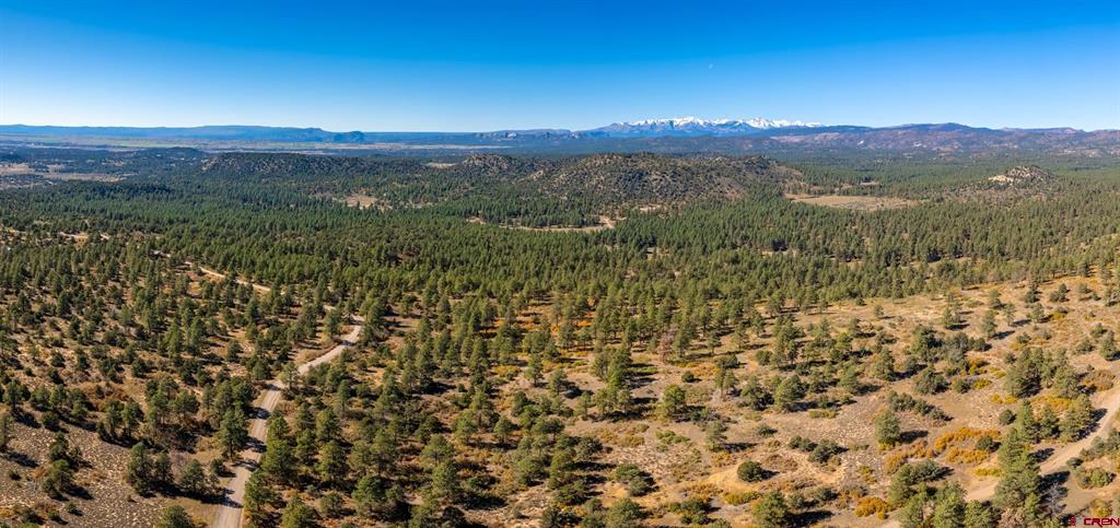 Lot 3 Foxfire Ranch Bayfield CO 81122